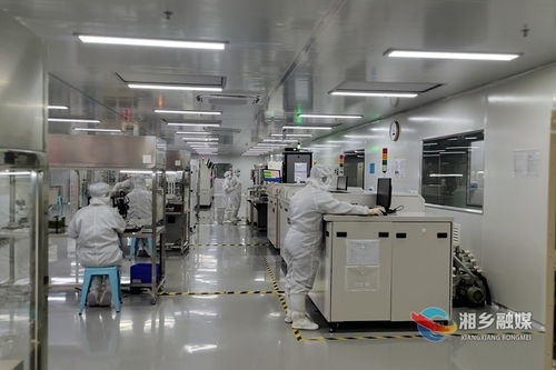 湘鄉經開區新天源電子 以創新研發為引擎，鑄就重慶軟件開發領域的“拳頭”產品
